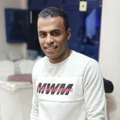 حسن ربيع