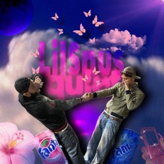 LilSnus