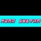 GEMINI MUSIC - Playlist Account