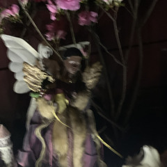 Rebel F :  Wild Abuse