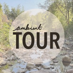 The Ambient Tour