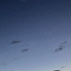 Decaying.wintr