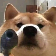 Gnud