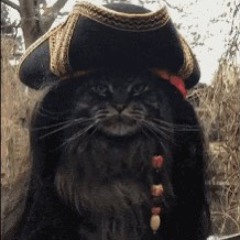 captkodabearr