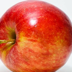 Elioti Lotti & Lio lottej