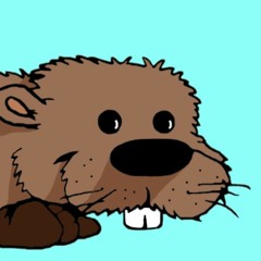 Aardvark Beaver