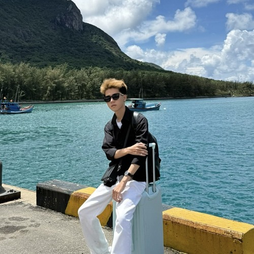 TruongThinh — artist photo