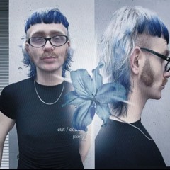 Яна цист