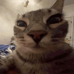 kax