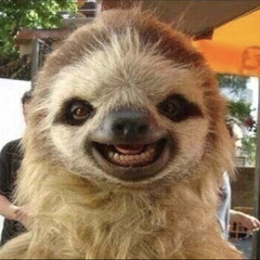 slick.sloth