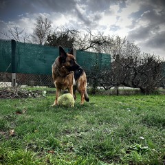 Flexiz