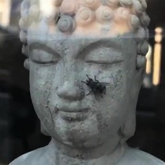 out_of_here