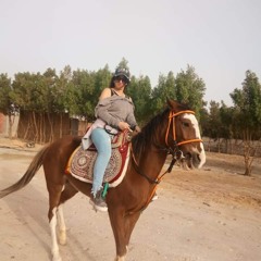 سلمي أحمد عمر