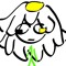 find_nulla