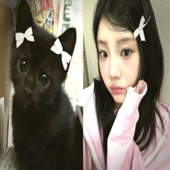 𝐍𝐈𝐀𝐒𝐒𝐁𝐋𝐄𝐒𝐒𝐄𝐃