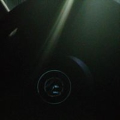 Reinodo Donaldduck Noel