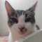 Tom