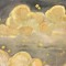 chamomile