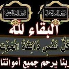 ابو بكر المغربى المغربى