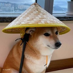 Hưng Duy