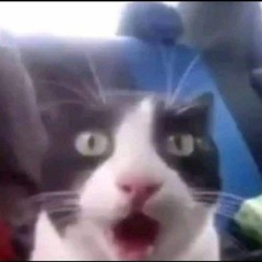 derank