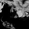 xoxo.sephiroth