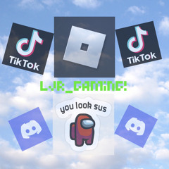 Ljr _Gaming