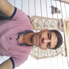 محمود احمد الخطيب