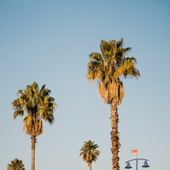 famous kvlt fan club