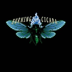 Burning Cicada, Ltd.