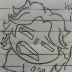 TNTIDUS