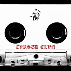 DJ RVSPVTIN