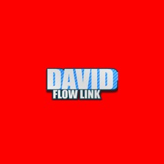 David Flow Link