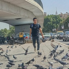 Mahmoud Fayez