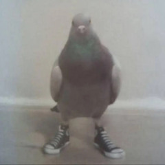 bigol