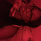 luv a'jae ᥫ᭡