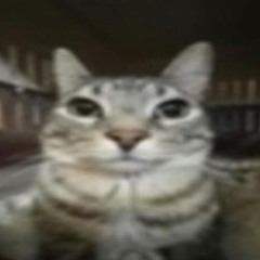KittyAxeX