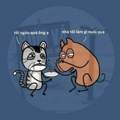 💎 Mèo Điên 🌟 (Phụ)