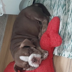 MN e o Rodoo🚉✌🏼