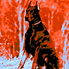 Doberman
