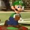 luigi641