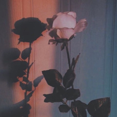 MistyRoses