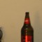 MRCS-