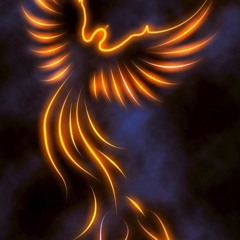 🩵Phoenix🩵