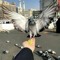 Rehab Salah