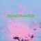 Braidwaves