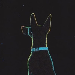 Security Dog