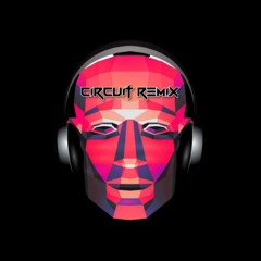 CIRCUIT REMIX