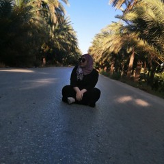 Alaa Shubber