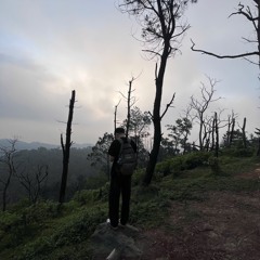 Viet Anh Hua